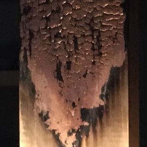 Meet your Posher, Benjamin